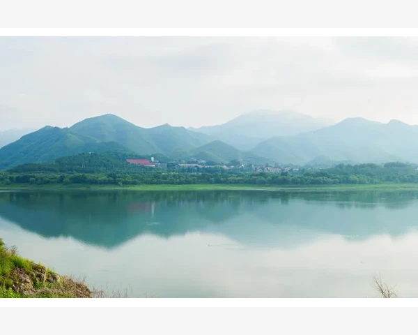 莲藕的神奇功效：止咳化痰的中医秘方